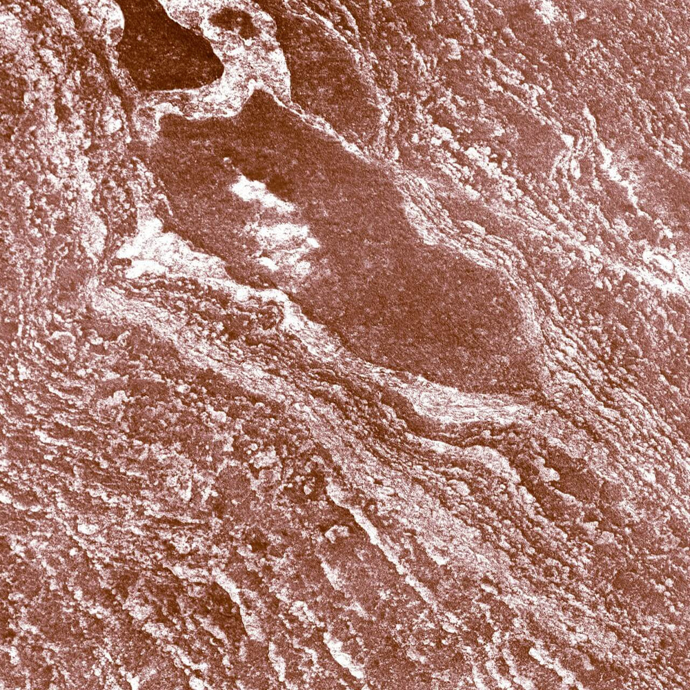 Glutationcykeln reglerar synaptisk glutamataktivitet