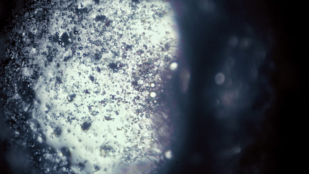 Glycin: dags att ompröva en icke-essentiell aminosyra?