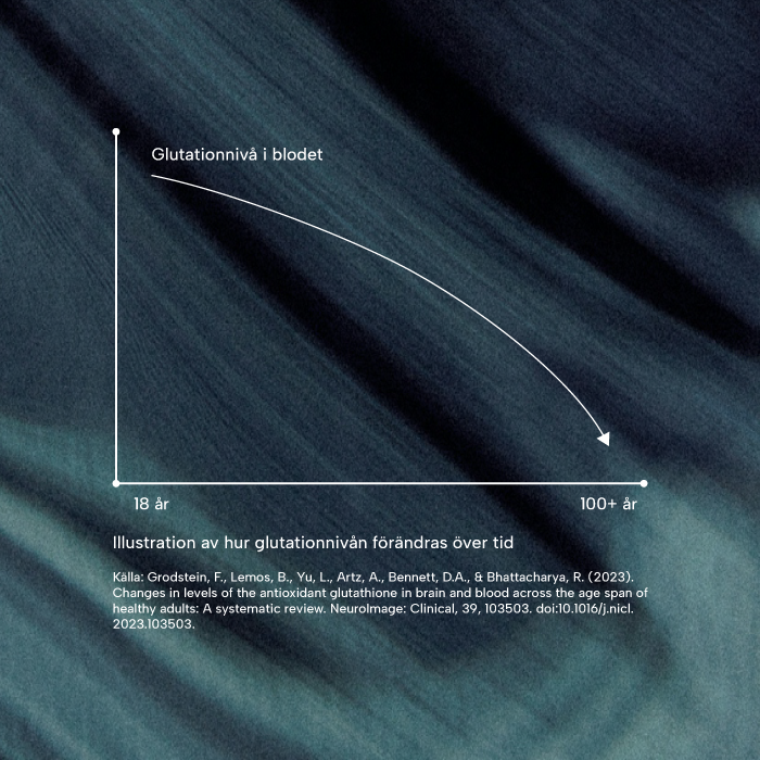 Glutationnivå i blodet. Minskning med åldern.