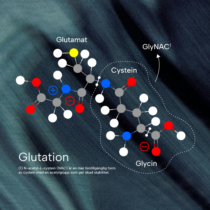 Glutation molekylär struktur